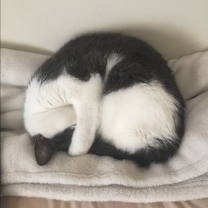 Meet your Posher, Martha